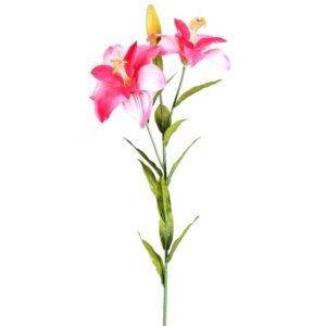 TIGER LILY, VARA X 2 80 CM