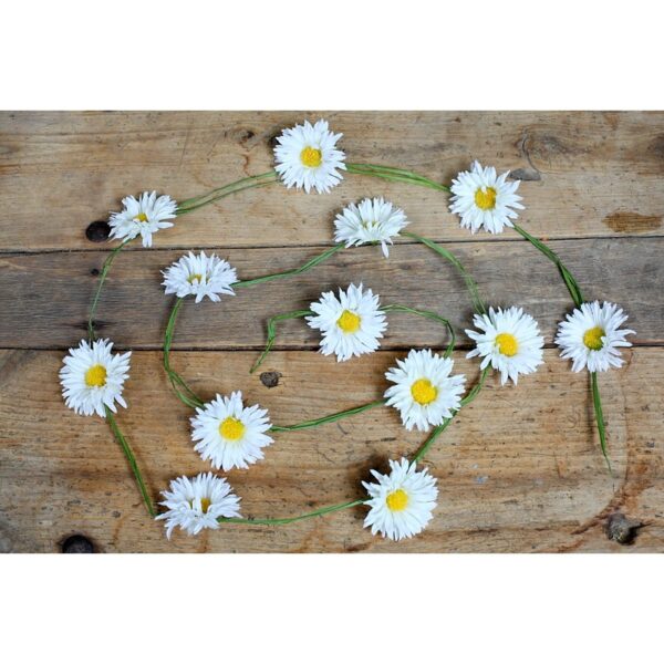 GUIRNALDA DE MARGARITAS, 180 CM - Imagen 1