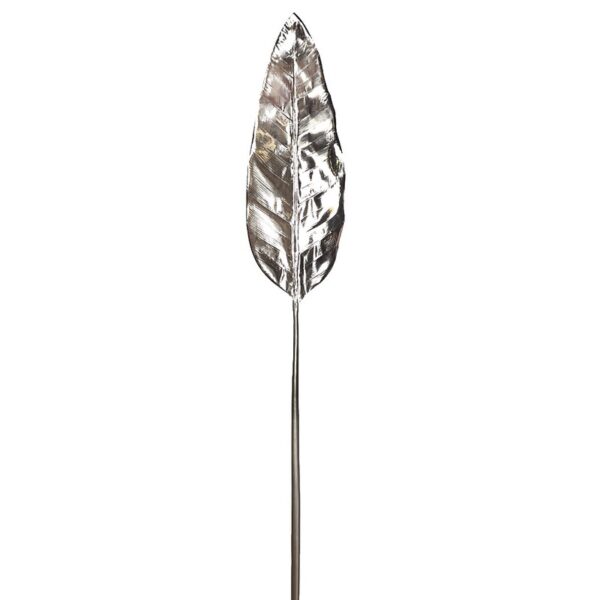 HOJA DRACENA PLATA 88CM - Imagen 1