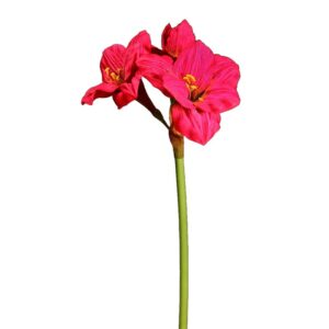 VARA AMARILIS SATEN 28 CM