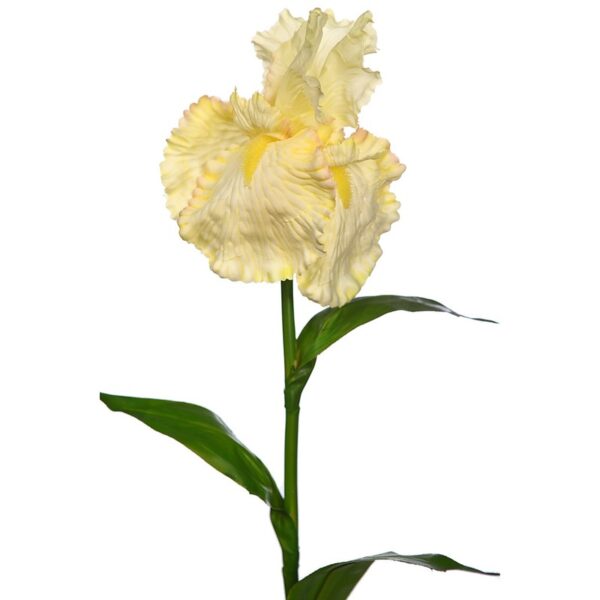 VARA IRIS ARTIFICIAL 80CM - Imagen 2