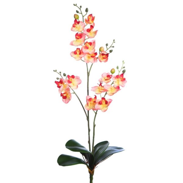 PLANTA ORQUIDEA 50CM - Imagen 1