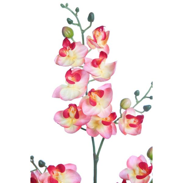 PLANTA ORQUIDEA 50CM - Imagen 2