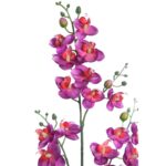 PLANTA ORQUIDEA 50CM - Imagen 6