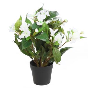 PLANTA IMPATIENTS EN MACETA 30CM