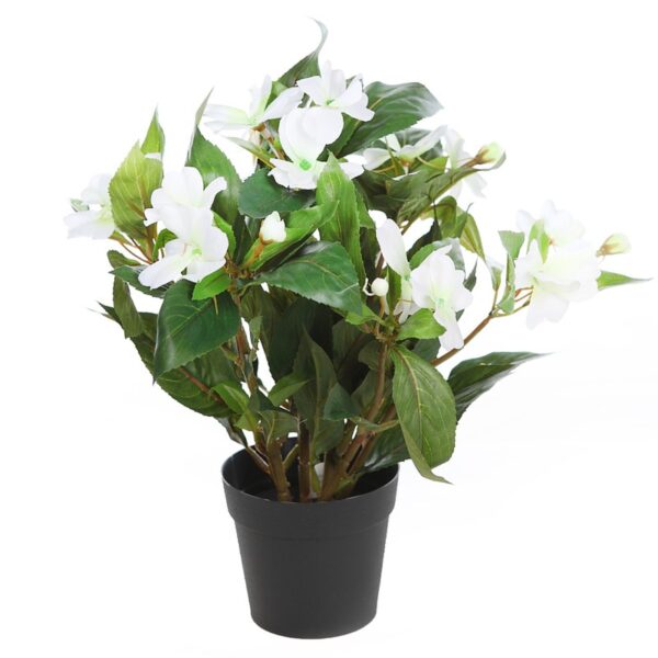 PLANTA IMPATIENTS EN MACETA 30CM - Imagen 1