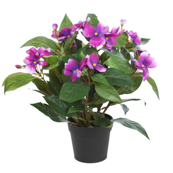 PLANTA IMPATIENTS EN MACETA 30CM - Imagen 2