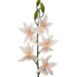 VARA ORQUIDEA MILTASSIA ARTIFICIAL 80CM - Imagen 3