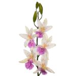 VARA ORQUIDEA MILTASSIA ARTIFICIAL 80CM - Imagen 5