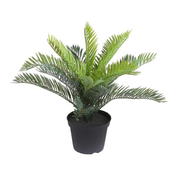 MACETA PALMERA CICA ALT 32CM - Imagen 1