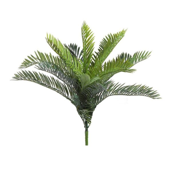 PLANTA PALMERA CYCA 32CM - Imagen 1