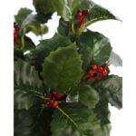 PLANTA MUERDAGO VERDE MACETA - Imagen 2