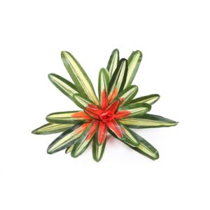 BROMELIA ARTIFICIAL ALT 30CM Ø 45CM