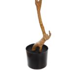 ARBOL SCHEFFLERA ARTIFICIAL 180CM - Imagen 4