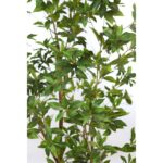 SCHEFFLERA EN MACETA ARTIFICIAL 195CM - Imagen 2