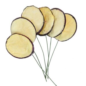 PICK BERENJENA RODAJAS 15CM CAJA 48UD