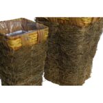 CESTA SET X2 - Imagen 2