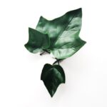 PLACA JARDIN HIEDRA ARTIFICIAL 50X50CM - Imagen 2