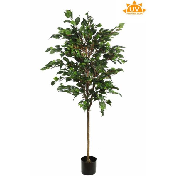 A219160-UV_0 ARBOL FICUS ARTIFICIAL 160CM - Imagen 1