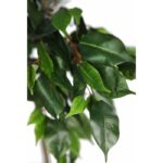 ARBOL FICUS ARTIFICIAL 160CM - Imagen 3