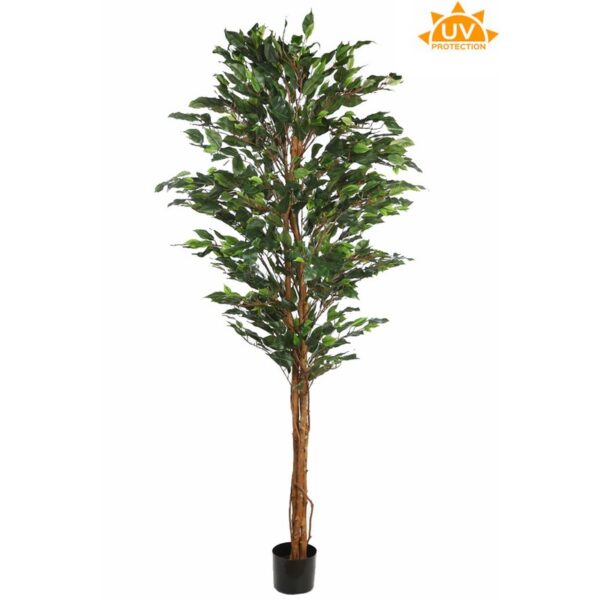 A229180-UV_0 ARBOL DE FICUS ARTIFICIAL 180CM - Imagen 1