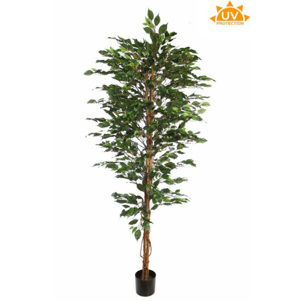 A230210-UV_0 ARBOL DE FICUS ARTIFICIAL 210CM - Imagen 1