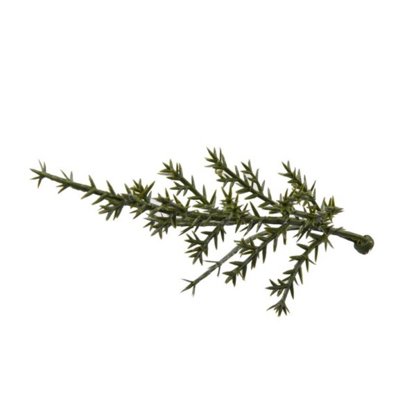 PLACA CIPRES ARTIFICIAL 50X50CM - Imagen 2