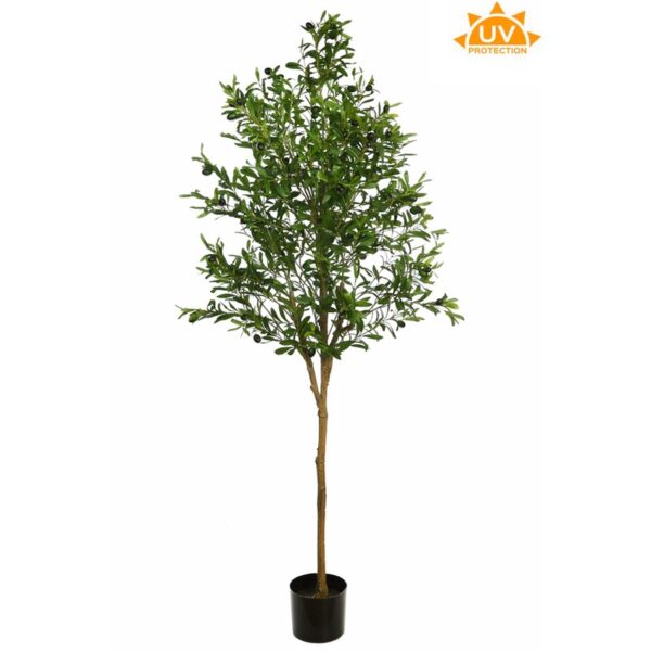 A422180-UV_0 ARBOL DE OLIVO ARTIFICIAL 180CM - Imagen 1