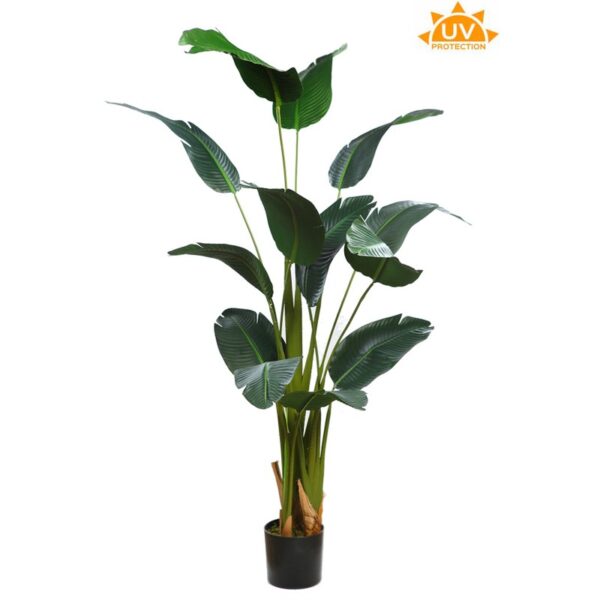 A765210-UV_0 PLATANERA ARTIFICIAL CON MACETA 170CM - Imagen 1