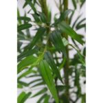 ARBOL DE BAMBU ARTIFICIAL 150CM - Imagen 3