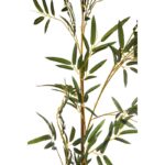 CAÑA DE BAMBU UV 220CM - Imagen 2