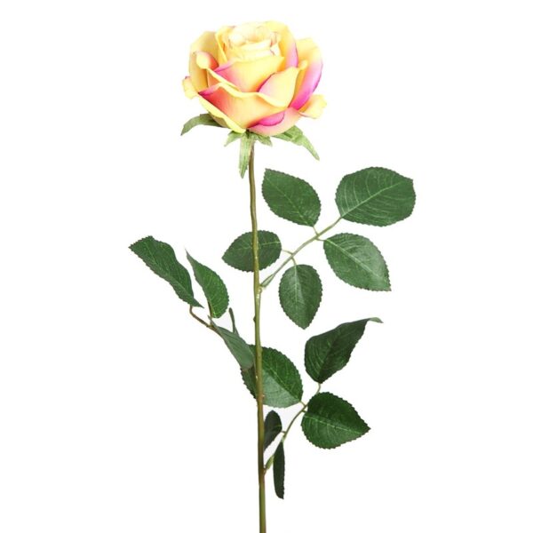 VARA DE ROSA 70CM - Imagen 1