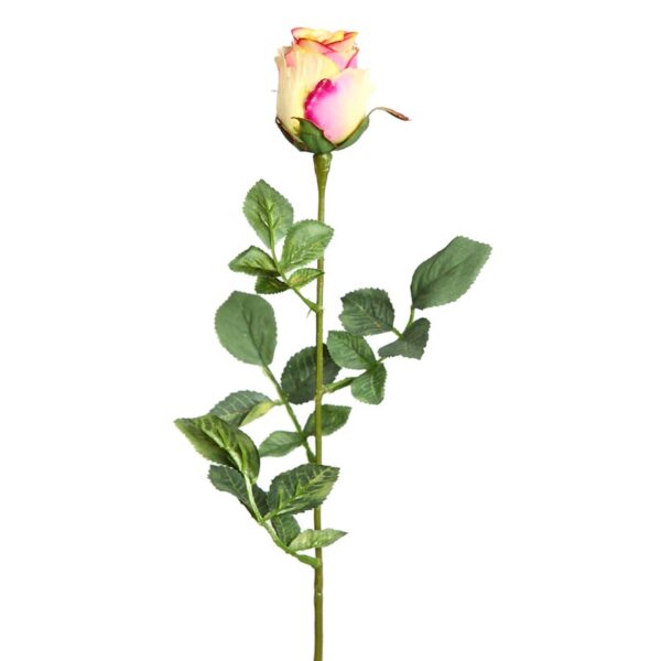 AD0015.06_0 VARA DE ROSA 70 CM - Imagen 1