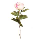 VARA DE PEONIA 70CM - Imagen 4