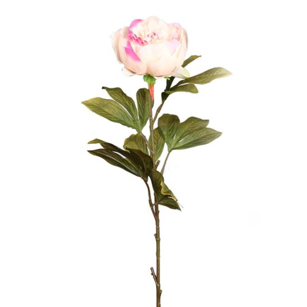 VARA DE PEONIA 70CM - Imagen 4