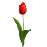 VARA TULIPAN 62CM - Imagen 2