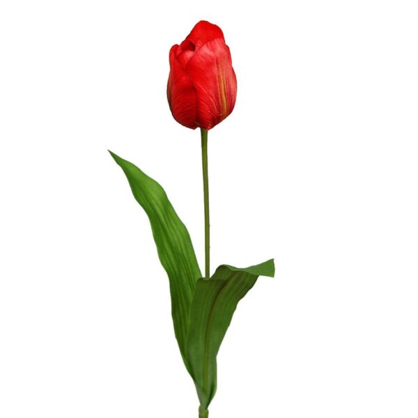 VARA TULIPAN 62CM - Imagen 2