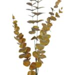 VARA EUCALIPTO ARTIFICIAL 75CM - Imagen 2