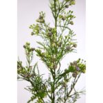 VARA GYPSOFILA ARTIFICIAL - Imagen 4