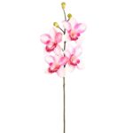 VARA ORQUIDEA CYMBIDIUM 60 CM