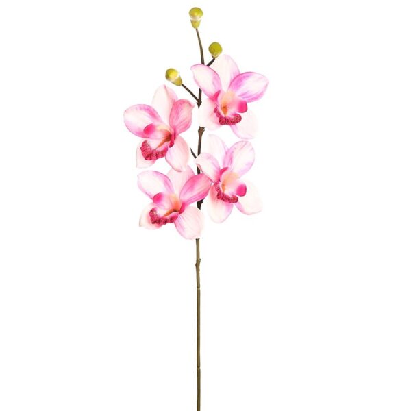 AD0483.06_0 VARA ORQUIDEA CYMBIDIUM 60 CM - Imagen 1