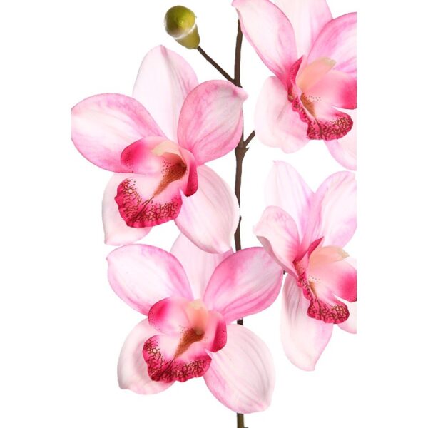 VARA ORQUIDEA CYMBIDIUM 60 CM - Imagen 2