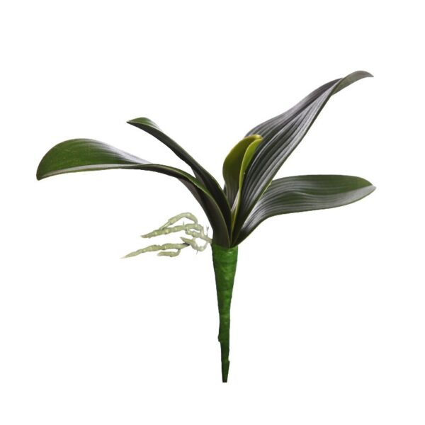 HOJA ORQUIDEA 24 CM - Imagen 1