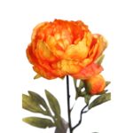 VARA PEONIA 70 CM - Imagen 2