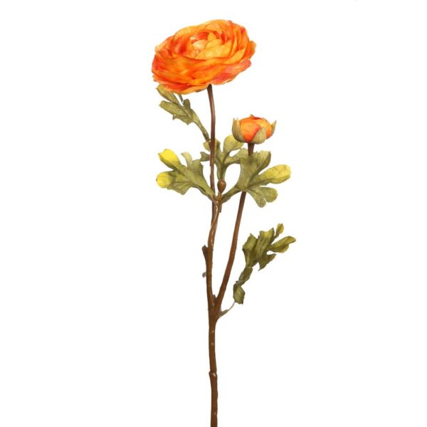 VARA RANUNCULO 54 CM - Imagen 3