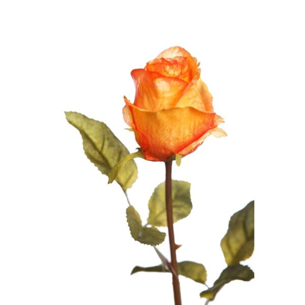 VARA ROSA 65 CM - Imagen 2