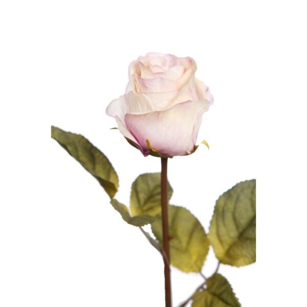 VARA ROSA 65 CM - Imagen 8