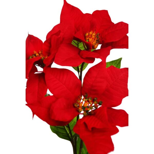 RAMA FLOR DE PASCUA 72CM - Imagen 4