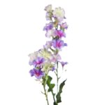 VARA FLOR BELLA DE DIA 76CM - Imagen 10