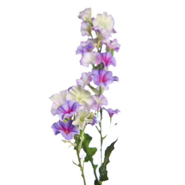 VARA FLOR BELLA DE DIA 76CM - Imagen 10